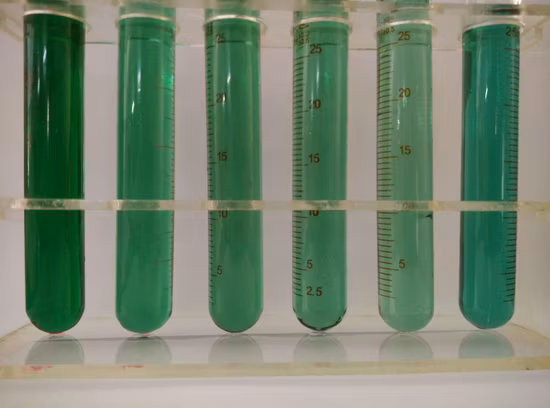 High Purity Blue Dye for Diesel and Fats